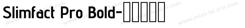 Slimfact Pro Bold字体转换